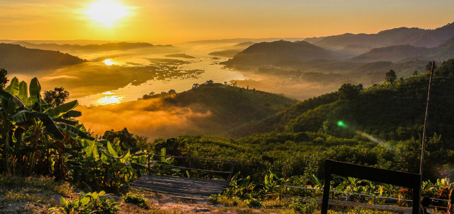 Top 20 Beautiful Good Morning Sunday Messages for Loved Ones